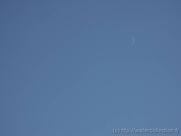 2004-08-20 18-33-41 Nature 200,0mm 1_320_eme F8,0 